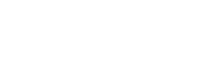 newsec-logo-original